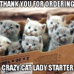 box of cats | THANK YOU FOR ORDERING  THE CRAZY CAT LADY STARTER KIT | image tagged in box of cats | made w/ Imgflip meme maker