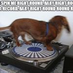 Spinning record Dog extraordinaire | YOU SPIN ME RIGHT ROUND, BABYRIGHT ROUND LIKE A RECORD, BABYRIGHT ROUND ROUND ROUND | image tagged in spinning record dog extraordinaire | made w/ Imgflip meme maker