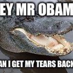 Alligator Wut | HEY MR OBAMA CAN I GET MY TEARS BACK? | image tagged in alligator wut | made w/ Imgflip meme maker
