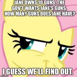 Fluttershy Evil Smile | JANE OWNS 10 GUNS. THE GOV'T WANTS JANE'S GUNS.  HOW MANY GUNS DOES JANE HAVE? I GUESS WE'LL FIND OUT. | image tagged in fluttershy evil smile | made w/ Imgflip meme maker