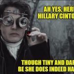 The heart of Hillary Clinton | AH YES, HERE IT IS ... HILLARY CINTON'S HEART THOUGH TINY AND DARK IT MAY BE SHE DOES INDEED HAVE A HEART | image tagged in hillary clinton's heart | made w/ Imgflip meme maker