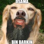 Dog Muttslim | OSAMA BIN BARKIN | image tagged in dog muttslim | made w/ Imgflip meme maker