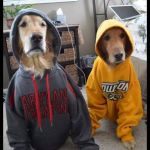 thug Dogs | WE ARE JUST LIVING THE THUG LIFE | image tagged in thug dogs | made w/ Imgflip meme maker