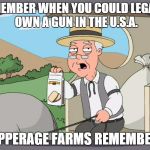 Pepperagefarms | REMEMBER WHEN YOU COULD LEGALLY OWN A GUN IN THE U.S.A. PEPPERAGE FARMS REMEMBERS | image tagged in pepperagefarms | made w/ Imgflip meme maker