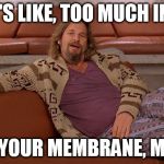 insane in the brain | THERE'S LIKE, TOO MUCH INSANE IN YOUR MEMBRANE, MAN | image tagged in dude,big lebowski,insane,insanity | made w/ Imgflip meme maker