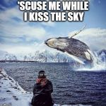 Whale | 'SCUSE ME WHILE I KISS THE SKY | image tagged in whale | made w/ Imgflip meme maker