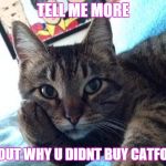 Tell me more cat | TELL ME MORE ABOUT WHY U DIDNT BUY CATFOOD | image tagged in tell me more cat | made w/ Imgflip meme maker
