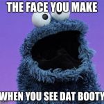Cookie Monster | THE FACE YOU MAKE WHEN YOU SEE DAT BOOTY | image tagged in cookie monster | made w/ Imgflip meme maker
