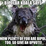 Bipolar Koala | BIPOLAR KOALA SAYS I KNOW PLENTY OF YOU ARE BIPOLAR TOO, SO GIVE AN UPVOTE! | image tagged in bipolar koala | made w/ Imgflip meme maker