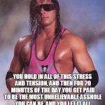 Bret Hart | YOU HOLD IN ALL OF THIS STRESS AND TENSION, AND THEN FOR 20 MINUTES OF THE DAY YOU GET PAID TO BE THE MOST UNBELIEVABLE ASSHOLE YOU CAN BE,  | image tagged in bret hart | made w/ Imgflip meme maker