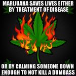 I don't know about anyone else, but it sure keeps me sane. | MARIJUANA SAVES LIVES EITHER BY TREATMENT OF DISEASE OR BY CALMING SOMEONE DOWN ENOUGH TO NOT KILL A DUMBASS | image tagged in burning pot leaf,marijuana,funny,memes,medicinal marijuana | made w/ Imgflip meme maker