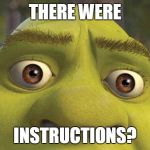 Some assembly required ...parts left over. | THERE WERE INSTRUCTIONS? | image tagged in shrek2,instructions',parts,assemble,some assembly required | made w/ Imgflip meme maker