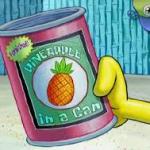 pineapple can