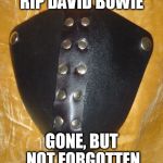 Cod Piece | RIP DAVID BOWIE GONE, BUT NOT FORGOTTEN | image tagged in cod piece | made w/ Imgflip meme maker