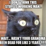 Cats | I DON'T THINK THIS STUFF IS WORKING MAN... WAIT... HASN'T YOUR GRANDMA BEEN DEAD FOR LIKE 3 YEARS??? | image tagged in cats | made w/ Imgflip meme maker