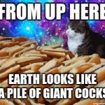 space cats and hot dogs | FROM UP HERE EARTH LOOKS LIKE A PILE OF GIANT COCKS | image tagged in space cats and hot dogs | made w/ Imgflip meme maker