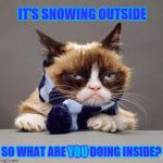 Grumpy Cat Winter | IT'S SNOWING OUTSIDE; YOU; SO WHAT ARE YOU DOING INSIDE? | image tagged in grumpy cat winter,meme,cute,kitty | made w/ Imgflip meme maker
