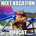 Beach Cat | NEXT VACATION; PHUCAT | image tagged in beach cat | made w/ Imgflip meme maker