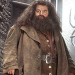 Hagrid