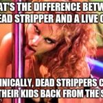 Stripper Pole | WHAT'S THE DIFFERENCE BETWEEN A DEAD STRIPPER AND A LIVE ONE? TECHNICALLY, DEAD STRIPPERS CAN'T GET THEIR KIDS BACK FROM THE STATE | image tagged in stripper pole | made w/ Imgflip meme maker