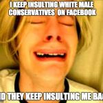 Blowback | I KEEP INSULTING WHITE MALE CONSERVATIVES  ON FACEBOOK; AND THEY KEEP INSULTING ME BACK | image tagged in leave britney,white,male,conservatives,insult,feminists | made w/ Imgflip meme maker