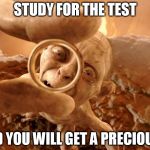 Golum | STUDY FOR THE TEST; AND YOU WILL GET A PRECIOUS A | image tagged in golum | made w/ Imgflip meme maker