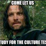 Aragorn | COME LET US; STUDY FOR THE CULTURE TEST | image tagged in aragorn | made w/ Imgflip meme maker