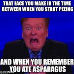 Asparagus Face | THAT FACE YOU MAKE IN THE TIME BETWEEN WHEN YOU START PEEING; AND WHEN YOU REMEMBER YOU ATE ASPARAGUS | image tagged in conan face,asparagus face,funny,funny memes,conan o'brien,memes | made w/ Imgflip meme maker