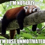 Lazy Red Panda | I'M NOT LAZY; I'M JUST UNMOTIVATED | image tagged in lazy red panda | made w/ Imgflip meme maker