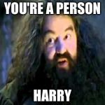 You're an X Harry | YOU'RE A PERSON; HARRY | image tagged in you're an x harry,memes,harry potter | made w/ Imgflip meme maker