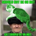 fat cat make hat flat | TELL CAT ON HAT, CAT SHOULD NOT BE ON HAT; CAT SHOULD BE ON MAT, NOT ON HAT, AND THAT'S THAT | image tagged in cat on a hat,memes | made w/ Imgflip meme maker