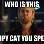 Thor, not bad.   | WHO IS THIS; GRUMPY CAT YOU SPEAK OF | image tagged in thor not bad.  | made w/ Imgflip meme maker