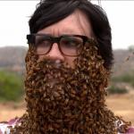 Link's Bee Beard meme