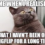 suprise cat | ME WHEN I REALISE; THAT I HAVN'T BEEN ON IMGFLIP FOR A LONG TIME | image tagged in suprise cat | made w/ Imgflip meme maker
