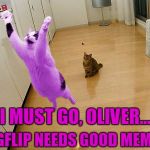 RayCat going to save the world | I MUST GO, OLIVER... IMGFLIP NEEDS GOOD MEMES | image tagged in raycat save the world,memes | made w/ Imgflip meme maker