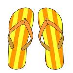 flip flops Meme Generator - Imgflip