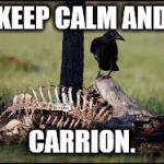 Keep calm | KEEP CALM AND; CARRION. | image tagged in carrion | made w/ Imgflip meme maker