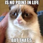 Smiling grumpy cat | I KNOW THAT THERE IS NO POINT IN LIFE; BUT THAT'S WHY I'M HERE | image tagged in smiling grumpy cat | made w/ Imgflip meme maker