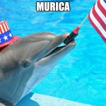 MuricaDolphin | MURICA | image tagged in muricadolphin | made w/ Imgflip meme maker