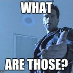 Terminator | WHAT; ARE THOSE? | image tagged in terminator | made w/ Imgflip meme maker