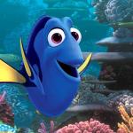 dory