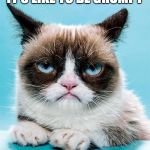 Grumpy Cat | NOBODY KNOWS WHAT IT'S LIKE TO BE GRUMPY; BEHIND BLUE EYES | image tagged in grumpy cat | made w/ Imgflip meme maker