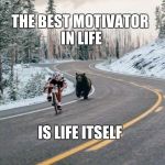 Motivation  | THE BEST MOTIVATOR IN LIFE; IS LIFE ITSELF | image tagged in motivation | made w/ Imgflip meme maker