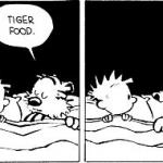 Calvin and Hobbes tiger food