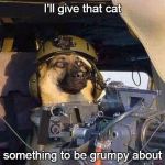 Don't get mad, get even
 | I'll give that cat; something to be grumpy about | image tagged in door gunner dog | made w/ Imgflip meme maker