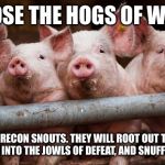 Hogs at Fence | LOOSE THE HOGS OF WAR! OUR BEST RECON SNOUTS. THEY WILL ROOT OUT THE ENEMY, SNORT THEM INTO THE JOWLS OF DEFEAT, AND SNUFFLE THEM OUT. | image tagged in hogs at fence | made w/ Imgflip meme maker