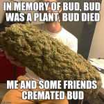 Weed guy | IN MEMORY OF BUD, BUD WAS A PLANT, BUD DIED; ME AND SOME FRIENDS CREMATED BUD | image tagged in weed guy | made w/ Imgflip meme maker