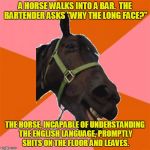 Anti-Joke Horse | A HORSE WALKS INTO A BAR.  THE BARTENDER ASKS "WHY THE LONG FACE?"; THE HORSE, INCAPABLE OF UNDERSTANDING THE ENGLISH LANGUAGE, PROMPTLY SHITS ON THE FLOOR AND LEAVES. | image tagged in anti-joke horse,memes | made w/ Imgflip meme maker