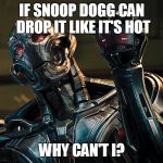 Ultron - Drop it Like it's Hot | IF SNOOP DOGG CAN DROP IT LIKE IT'S HOT; WHY CAN'T I? | image tagged in ultron - drop it like it's hot,ultron,avengers age of ultron,snoop dogg,age of ultron,avengers | made w/ Imgflip meme maker