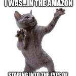 Happy Dance Cat | THERE I WAS...THERE I WAS...IN THE AMAZON; STARING INTO THE EYES OF A FEROCIOUS BLACK PANTHER! | image tagged in happy dance cat | made w/ Imgflip meme maker